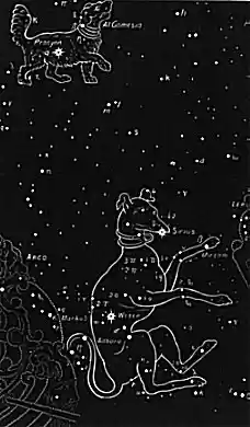 34canis